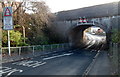 West side of Little Moors Hill railway bridges, Cadoxton