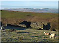 NY6703 : A ruined barn above Bowderdale by Karl and Ali