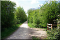 Old railway towards Dunmow