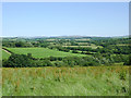 Ceredigion farmland north-west of Betws Bledrws