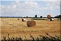 Straw bales, Cuckoo Farm