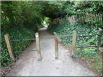 SY5590 : Footpath from the village to St Mary's Church by Basher Eyre