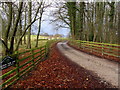 Access Lane to Scalebor Park Farm