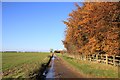 Restricted Byway to Upton