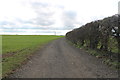 Farm Track off Hall Lane