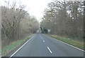 A32 beside New Copse