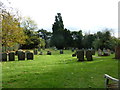 SU6961 : St. Mary, Stratfield Saye: churchyard (e) by Basher Eyre