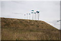 Art Installation? Brazier Meadow, Orwell Country Park