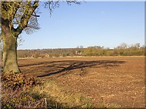 SP3552 : Fields near Chadshunt by David P Howard
