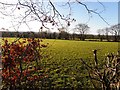 Maine Townland