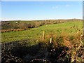 Crosh Townland