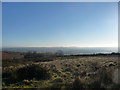 View south-eastwards from Clee Hill Common in December