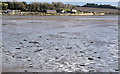 J4972 : Inter-tidal mudflats, Newtownards by Albert Bridge