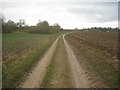 SU6056 : Farm track & Rookery Farm by ad acta