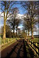 The lane to Abbey Farm