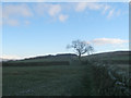 Footpath below Mitton House