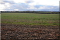 Farmland at Marden