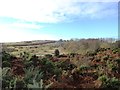 NZ2449 : View west across Waldridge Fell by Robert Graham