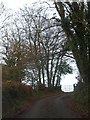 The top of the road through Hedgend Plantation