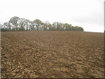 SU6055 : Heavily ploughed field - Rookery Farm by Mr Ignavy