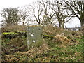 The scene at Hilton Old Church near Whitsome in Berwickshire