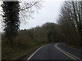 A35 approaching "The Belt", Widworthy Park