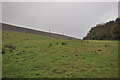 Looking across a field towards Codden