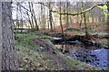 Thackray Beck, Blubberhouses