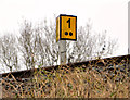 J2164 : Railway milepost, Brookmount near Lisburn by Albert Bridge