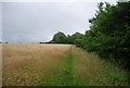 Bridleway to Stovold Hill