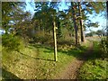 Footpath junction on the North Downs Way