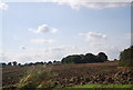 Farmland by Fambridge Rd