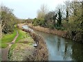 Droitwich Canal View