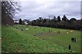 Newton Abbot : Football Pitches