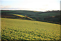 A view across the fields above Millbrook