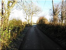 H5473 : Streefe Road, Drumnakilly by Kenneth  Allen