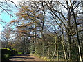 Bugsell Lane, Robertsbridge