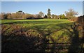 Field by Springhead Lane