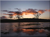 SD5076 : Flooded field at dusk, Yealand Redmayne by Karl and Ali