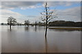 Flooding at Sandford, Severn Stoke