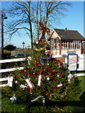 TQ8833 : Christmas tree and signal box at Tenterden Town Station by pam fray