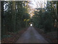 The roadway from Coleby Hall