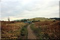 Car Park at Waen y Llyn Country Park