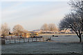 Frosty Fields at Marsworth