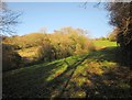 Field path, Horner Hill