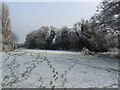 Frost and footprints