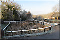 Frosty Reeds in the Side Pond, Lock 45 , Tring Summit