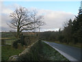 Ruin beside Dike Lane