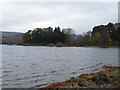 NY2621 : Looking across Calfclose Bay, Derwent Water by Graham Robson