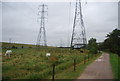 Horses, pylons & National Cycle Route 1